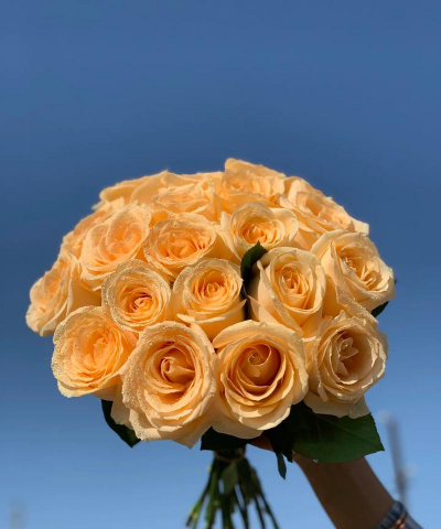 小众送妈妈的花有哪些花