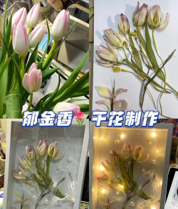小众送妈妈的花有哪些花