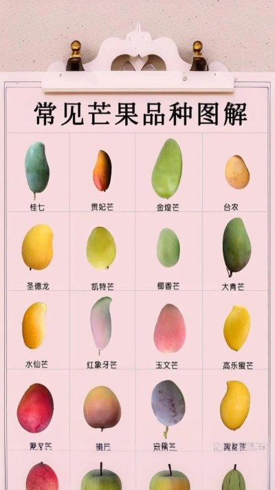 芒果有哪些品种