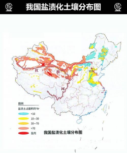 土地盐碱化主要分布地区