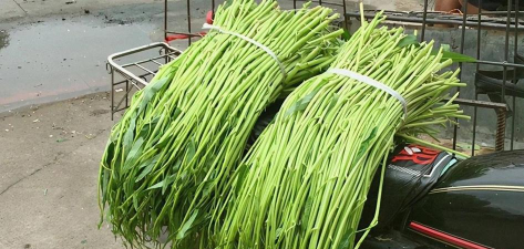 小众送妈妈的花有哪些花