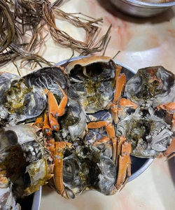 小众送妈妈的花有哪些花