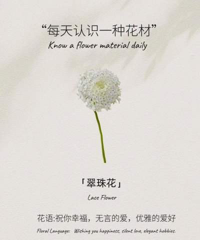 小众送妈妈的花有哪些花