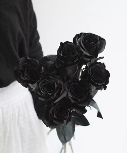 小众送妈妈的花有哪些花