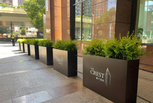 小众送妈妈的花有哪些花