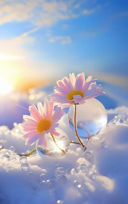 小众送妈妈的花有哪些花