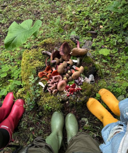 小众送妈妈的花有哪些花