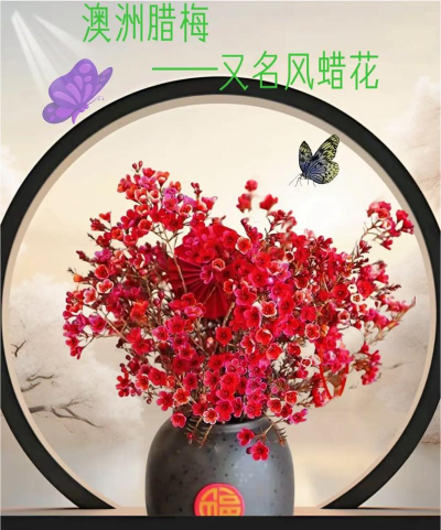 小众送妈妈的花有哪些花