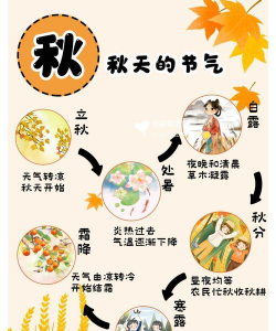 秋天是什么季节