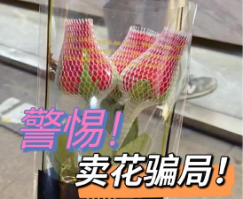 小众送妈妈的花有哪些花