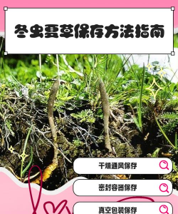 冬虫夏草可以人工种植吗