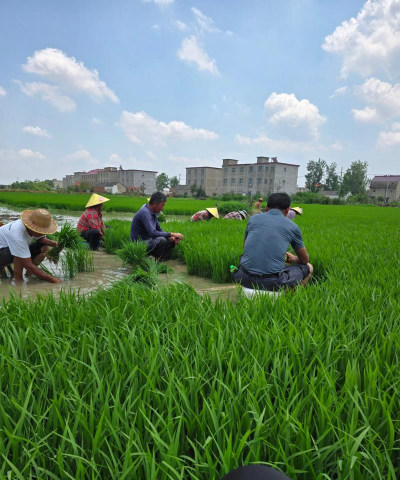 小众送妈妈的花有哪些花