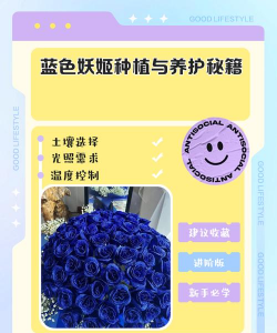 小众送妈妈的花有哪些花