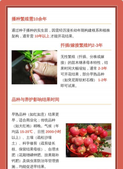 小众送妈妈的花有哪些花