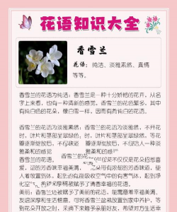 小众送妈妈的花有哪些花