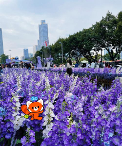 小众送妈妈的花有哪些花