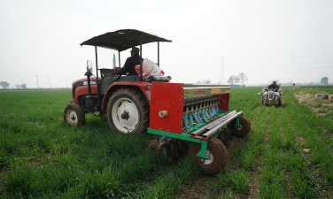 小众送妈妈的花有哪些花