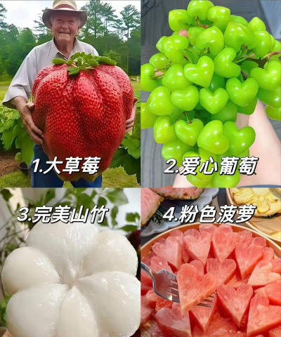 草莓很大是什么原因