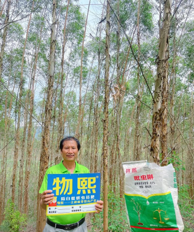 桉树幼苗白蚁用什么药最有效
