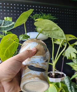 小众送妈妈的花有哪些花