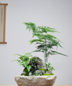 小众送妈妈的花有哪些花