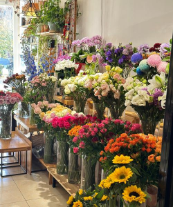 小众送妈妈的花有哪些花