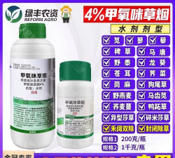 甲氧咪草烟除草剂适合什么稻种