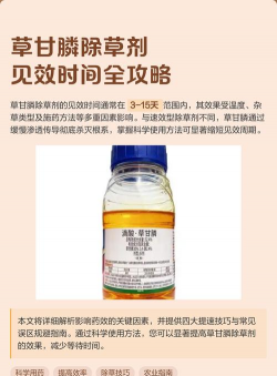 草甘膦除草剂打完了几天见效