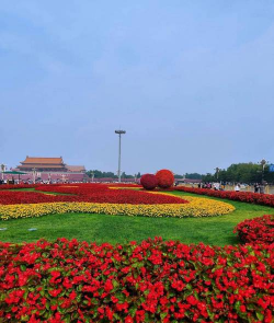 小众送妈妈的花有哪些花