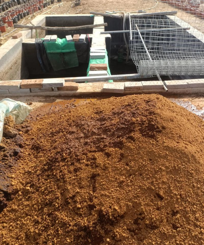 小众送妈妈的花有哪些花