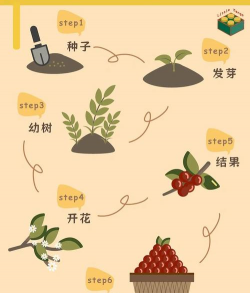 小众送妈妈的花有哪些花