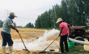 小众送妈妈的花有哪些花