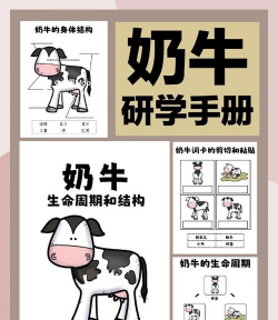 奶牛能为我们做什么