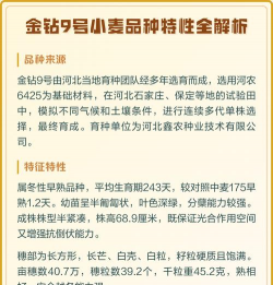 金钻九号小麦品种介绍?