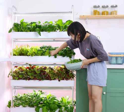 小众送妈妈的花有哪些花