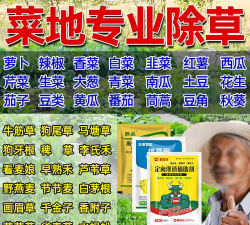 小白菜烂根死苗用什么药