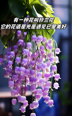 小众送妈妈的花有哪些花