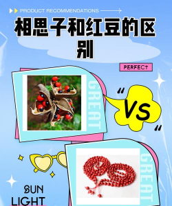 相思子和相思豆的区别