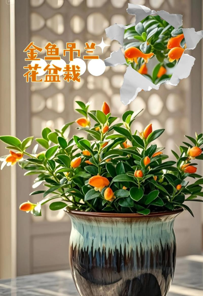 小众送妈妈的花有哪些花