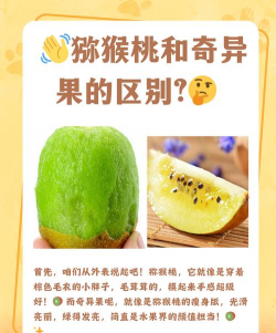 软枣猕猴桃和猕猴桃的区别