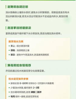 小众送妈妈的花有哪些花