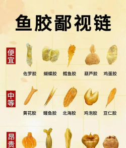 便宜花胶有哪些