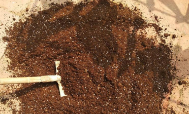 小众送妈妈的花有哪些花