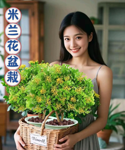 小众送妈妈的花有哪些花