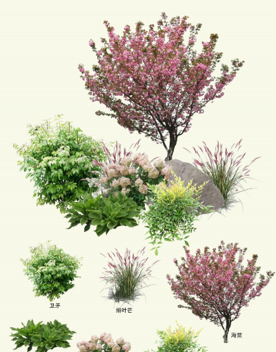 小众送妈妈的花有哪些花