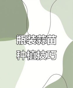 小众送妈妈的花有哪些花