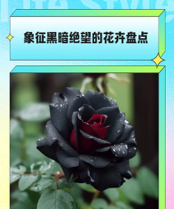 小众送妈妈的花有哪些花