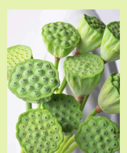 小众送妈妈的花有哪些花