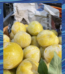 小众送妈妈的花有哪些花