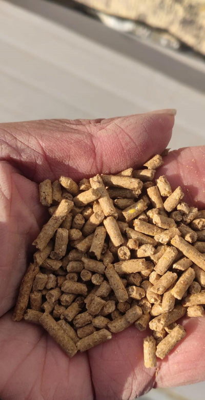 小众送妈妈的花有哪些花